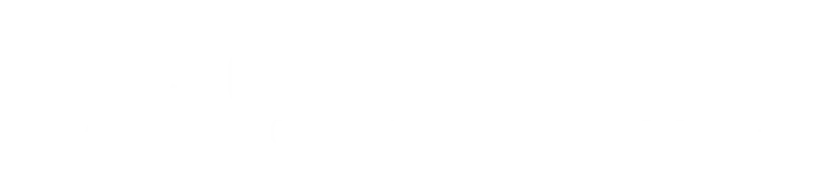 CLEO GROUP INC. ENGINEERING CONSULTING SERVICES